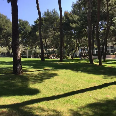 Artist Loft, Romantic Seaview Retreat Free Parking Apartment Pula