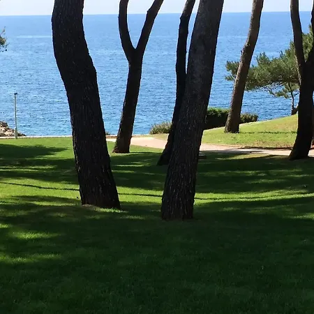 Artist Loft, Romantic Seaview Retreat Free Parking Apartment Pula